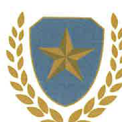 Wonder Star Trading crest